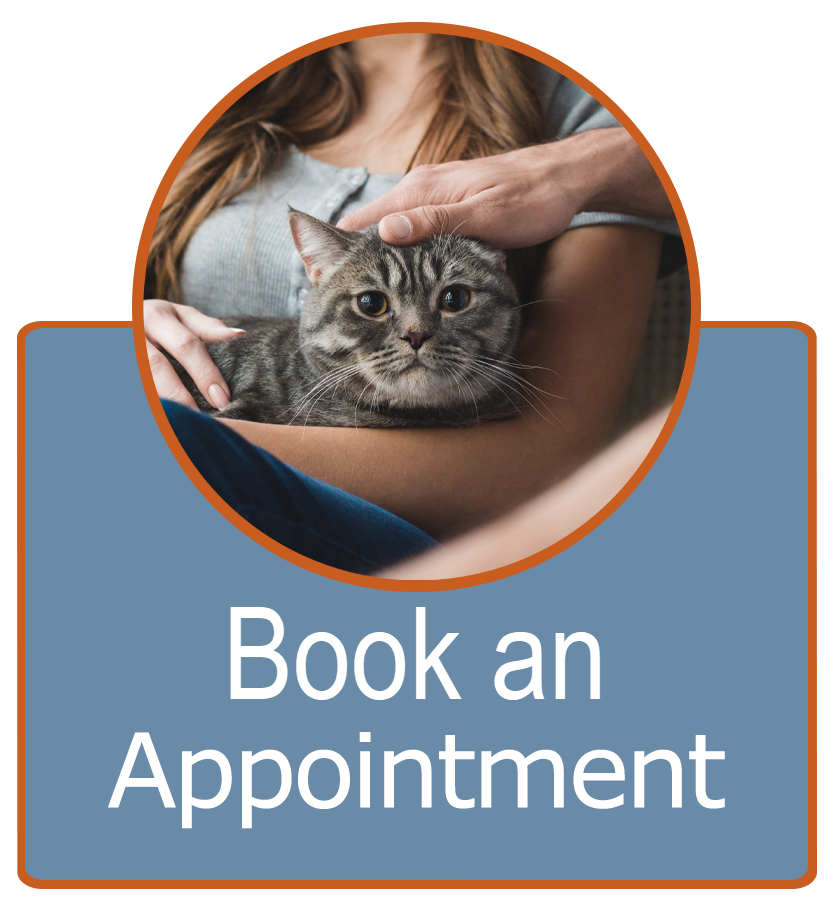 Book an Appointment at Ashley Creek Animal Hospital